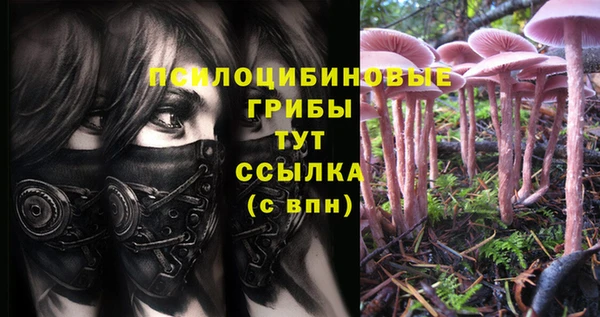 a pvp Михайловск