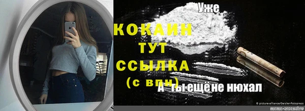 прущий лед Михайлов