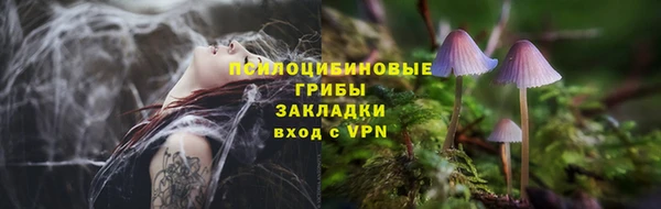 прущий лед Михайлов