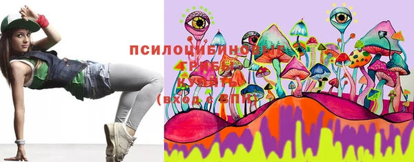 прущий лед Михайлов