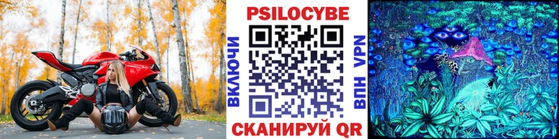Псилоцибиновые грибы Cubensis купить закладку Трёхгорный